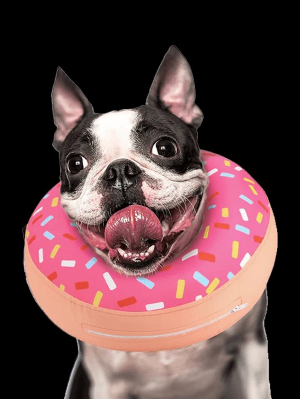 Supet Inflatable Dog Recovery "Donut" Collar - Size Medium